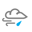 Partly Cloudy/Wind