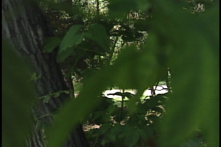 Fourth report of indecent act in Regina public areas - image