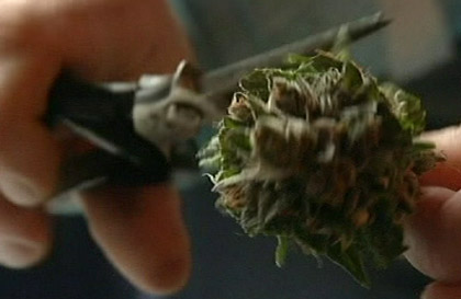 Police crack down on drug trafficking in Southern Sask. - image