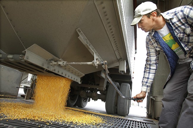 A Manitoba farm advocacy group is urging grain handlers to consider reducing grain elevator fees with lower crop yields expected across the agriculture sector.