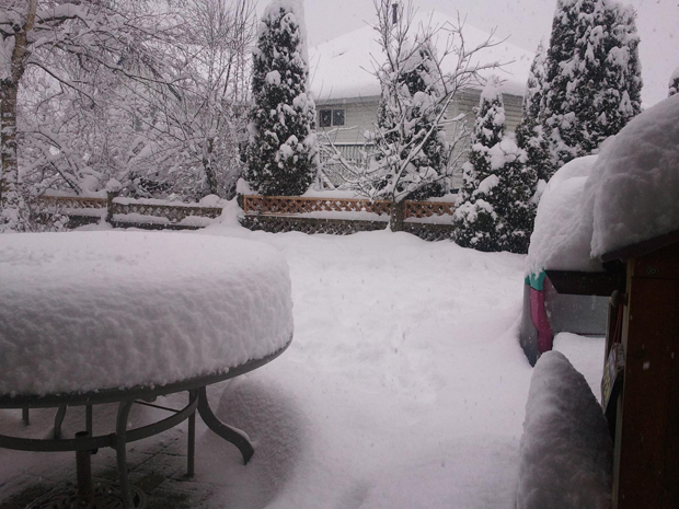 What weather to expect this holiday season and beyond - image