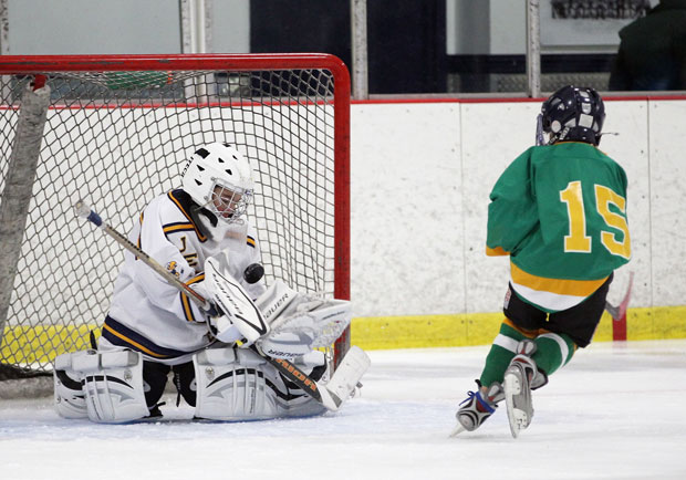 Hockey Canada is implementing a rule of smaller ice surface for children aged three to six.