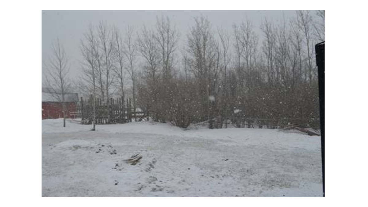 More flurries for parts of central Manitoba.This was taken today at 12:00pm in Erickson.