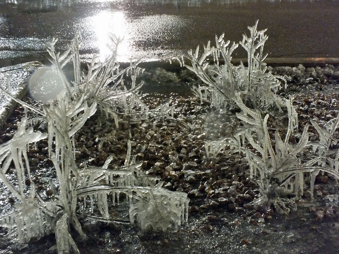 Shrubs are covered in ice in Brampton, Ontario on April 12, 2013. Environment Canada issued an ice storm warning Friday morning for a large portion of the Greater Toronto Area.  
