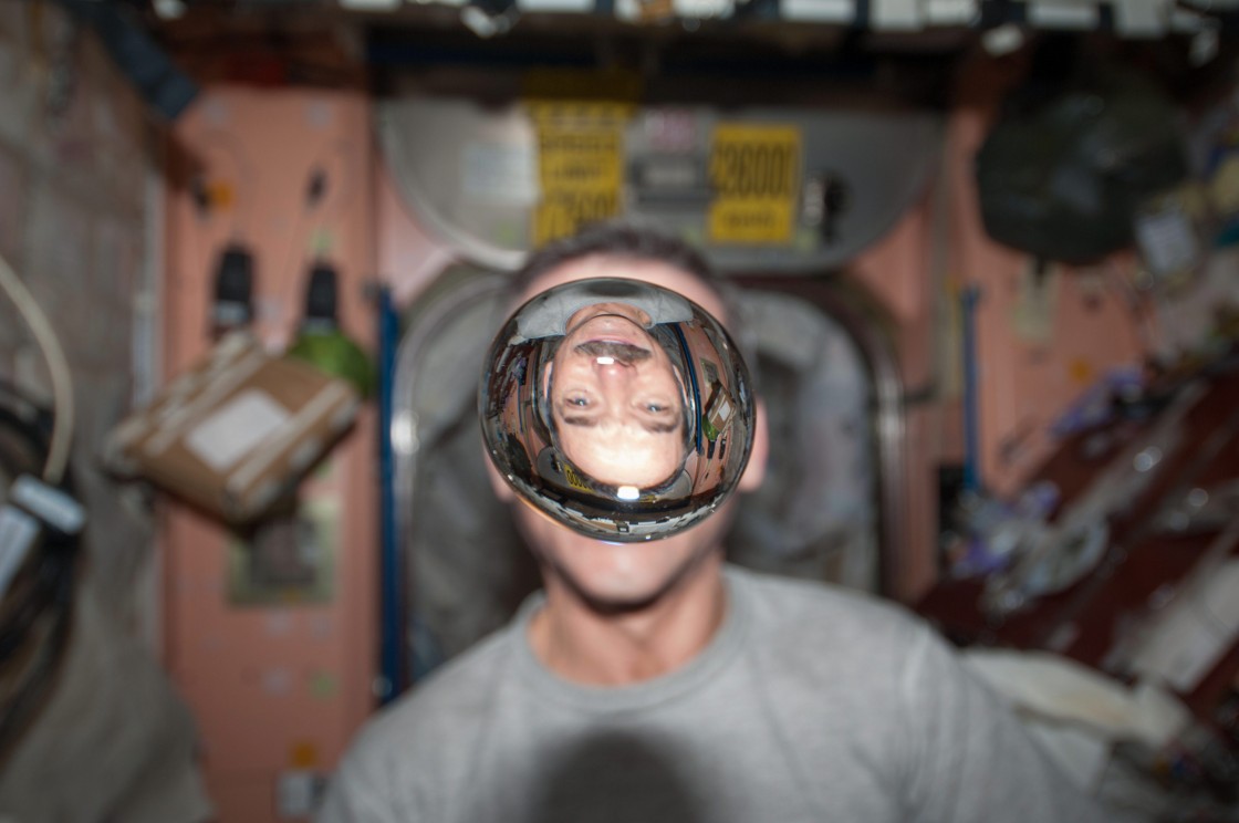 Sons pushed Hadfield to become social media supernova - image
