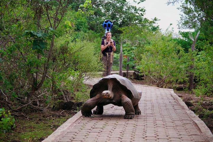 Mountain View, Calif.,-based Google sent hikers to the Galapagoswith Street View gear called “trekkers,” 42-pound computerbackpacks with large, soccer ball-like cameras mounted on a tower.