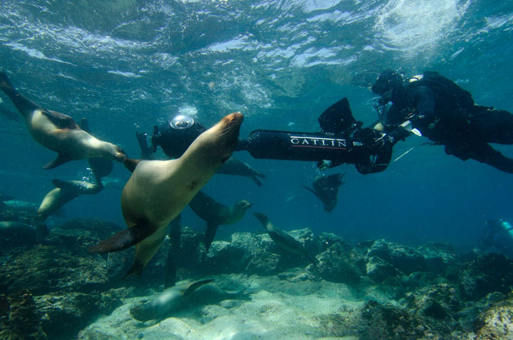 Mountain View, Calif.,-based Google sent hikers to the Galapagos
with Street View gear called "trekkers," 42-pound computer
backpacks with large, soccer ball-like cameras mounted on a tower.