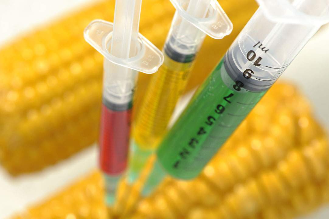 This year's World Food Prize is going to a Belgian scientist and two researchers in the United States for their innovations that brought the world genetically modified crops.