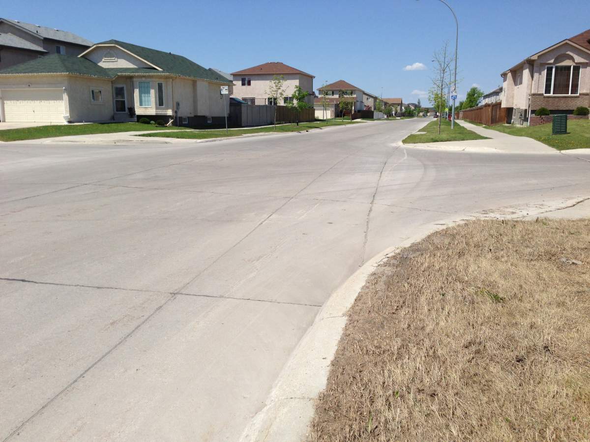 The grass on the boulevard near Hykawy’s property on Island Shore Boulevard is dead. June 5, 2013
