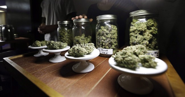 Facts and figures on the medical marijuana regime in
Canada, which is changing rules by March 31, 2014, to encourage
large private-sector growers.