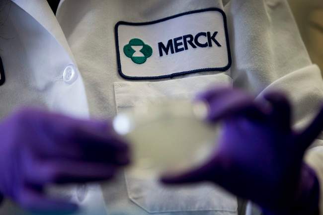 Drugmaker Merck & Co. is joining two dozen other
pharmaceutical companies and contract laboratories in committing to
not use chimpanzees for research.
