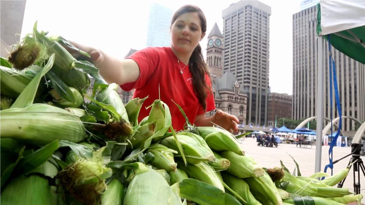Your Community Nathan Phillips Square Farmers Market