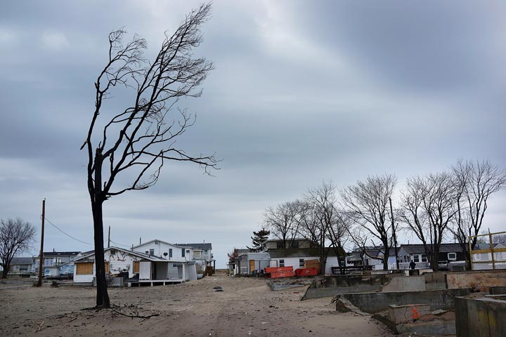 A charred tree is viewed in front of burned and damaged homes in Breezy Point, which was heavily damaged in Hurricane Sandy on April 29, 2013 in the Queens borough of New York City. Six months to the day after the devastating storm ravaged parts of New Jersey, New York and Connecticut, many communities are still struggling. The superstorm killed dozens and destroyed thousands of homes and businesses. Spencer Platt/Getty Images