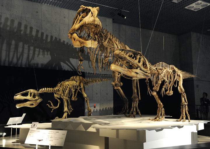The University of Alberta will offer Dino 101: Dinosaur Paleobiology, starting Sept. 4, through Coursera. It’s the university’s first foray into the ever-expanding world of open online education. 