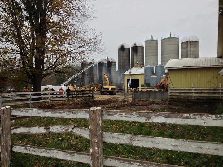 Over 100 cows were saved from death by fire on McGill Campus.