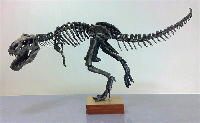 A model of "Scotty," a Tyrannosaurus rex discovered in 1991 near Eastend, Sask., in the Frenchman River Valley is pictured.