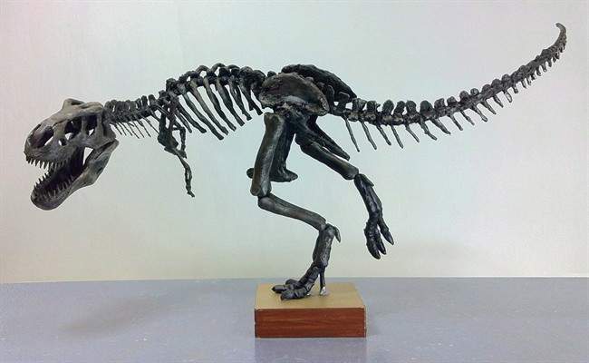 A model of "Scotty," a Tyrannosaurus rex discovered in 1991 near Eastend, Sask., in the Frenchman River Valley is pictured. THE CANADIAN PRESS/HO-Royal Saskatchewan Museum.
