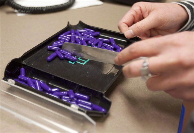 A lab technician counts pills at a pharmacy on March 8, 2012 in Quebec City. THE CANADIAN PRESS/Jacques Boissinot.