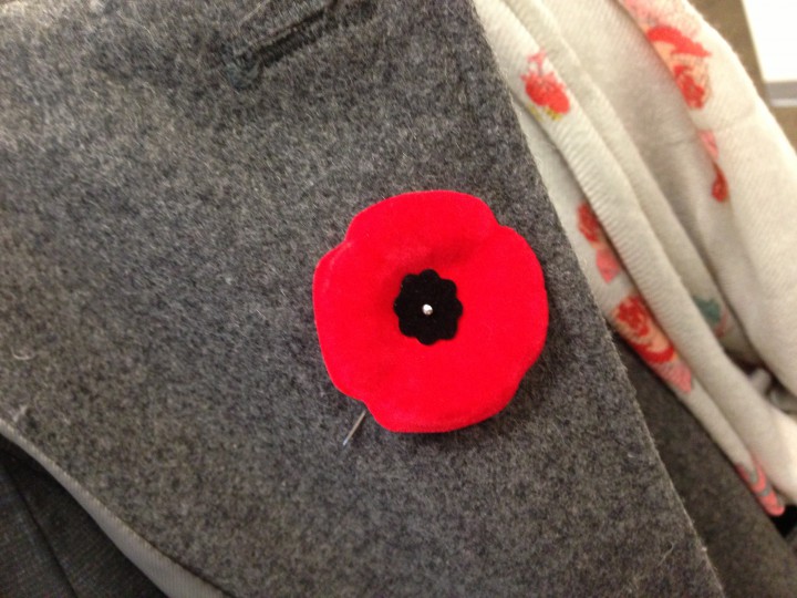A poppy is worn on a jacket.
