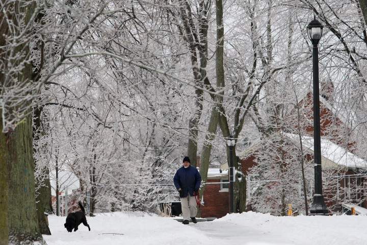 A man walks his dog in a park in Kingston, Ont., on Saturday December 21, 2013. THE CANADIAN PRESS/Lars Hagberg