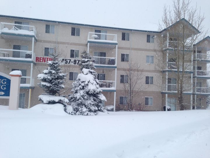 Tight housing market fuels rental scams - image