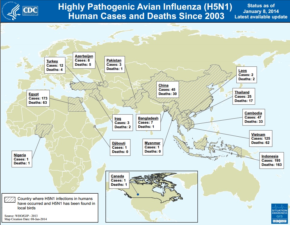Risk to anyone potentially exposed to H5N1 patient at YVR is minimal: provincial health officer - image