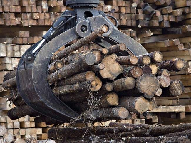 Worker dies as result of head injury at J.D. Irving sawmill in Sussex - image
