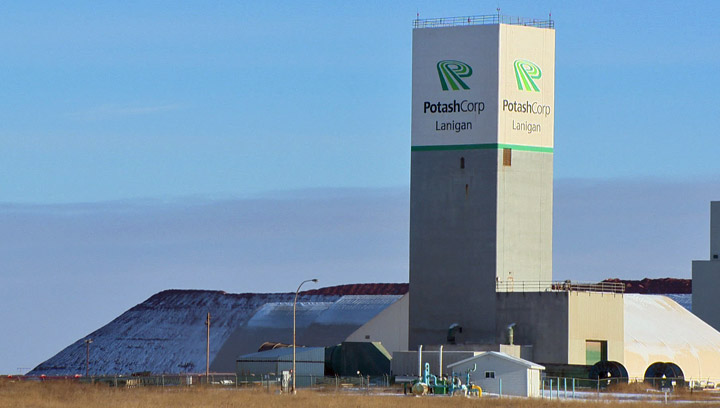 Fourth-quarter profits drop at PotashCorp as company takes hits from lower fertilizer prices and downsizing.