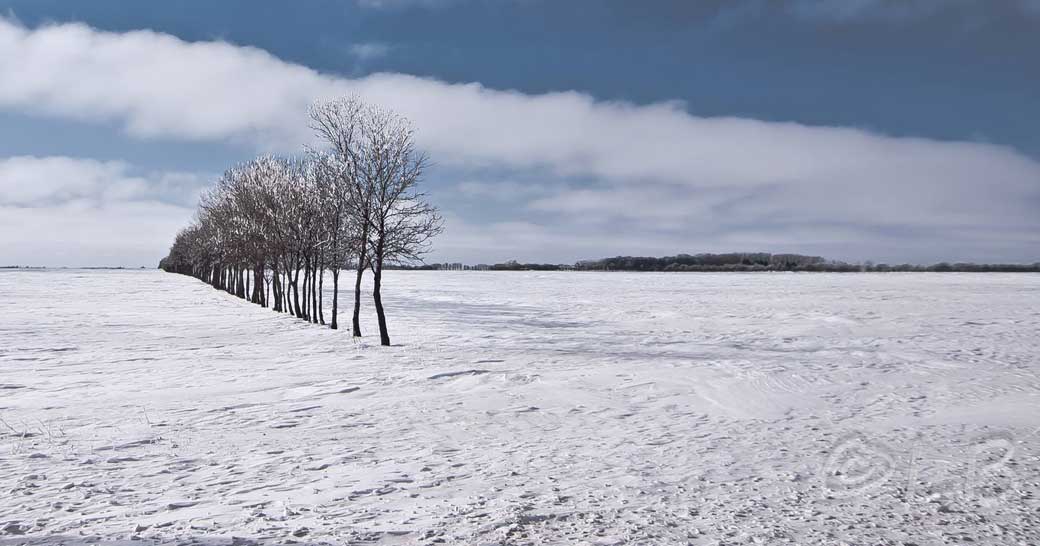 Winter in Winnipeg.