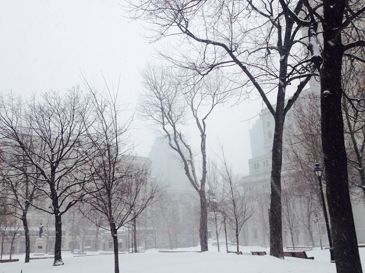 Downtown Montreal skyline through a flurry of snow on January 27, 2014.