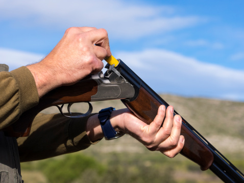 Northumberland OPP is investigating the theft of 14 firearms following a cottage fire in Trent Hills late last month.