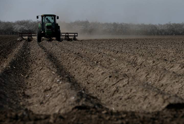 A tractor plows a field on February 25, 2014 in Firebaugh, California. Almond farmer Barry Baker of Baker Farming had 1,000 acres, 20 percent, of his almond trees removed because he doesn’t have access to enough water to keep them watered as the California drought continues. (Photo credit: Justin Sullivan/Getty Images)