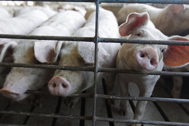 China holds incoming meat from Canada. THE CANADIAN PRESS/AP/M. Spencer Green, File.