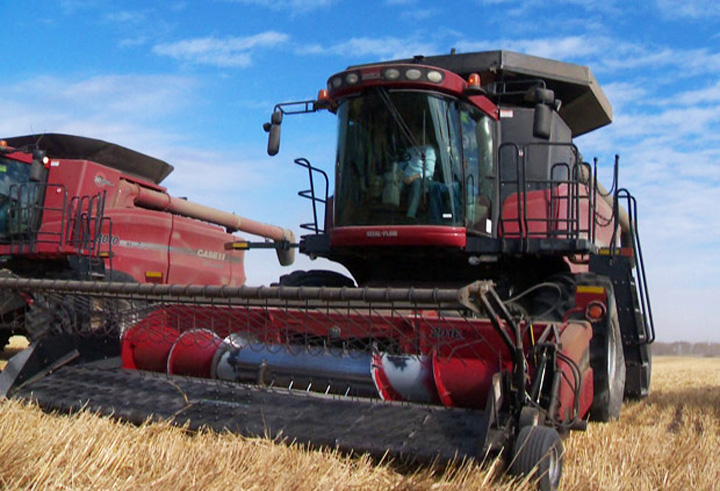 Saskatchewan Economy Minister Bill Boyd says he's not very optimistic that a grain backlog which has left a bumper crop in bins across the Prairies will be cleared soon.