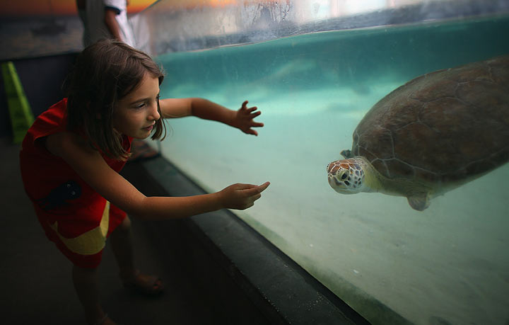 New Tampa Bay CityPass gives tourists access to theme park, museums