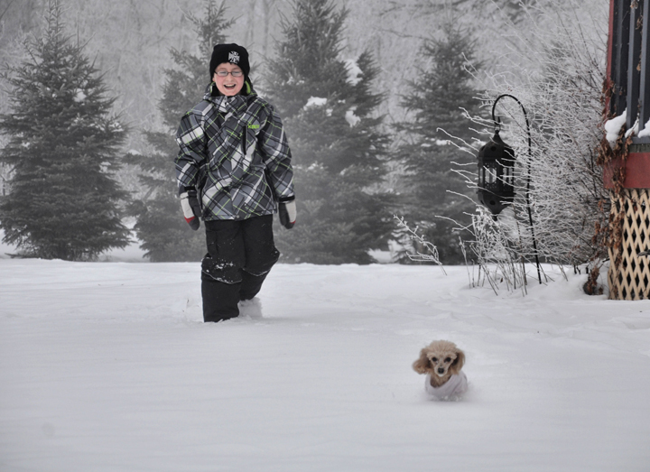 Winter Manitoba FrozenMB