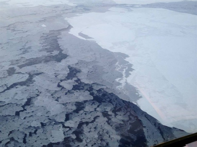 Arctic sea ice