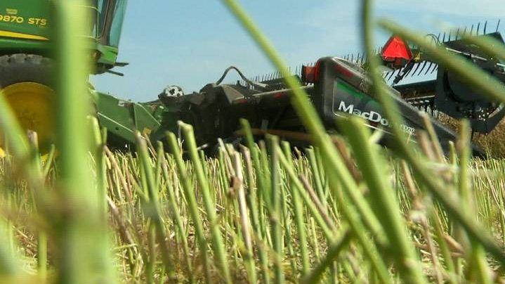 Rainfall needed as Saskatchewan crop conditions being deteriorating in many areas.