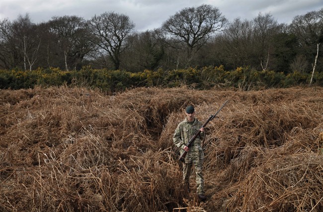 British army Rifleman Stuart Gray walks on a WW1 practise trench as he poses for the photographers in Gosport, southern England, Thursday, March 6, 2014. This overgrown and oddly corrugated patch of heathland on England’s south coast was once a practice battlefield, complete with trenches, weapons and barbed wire. Thousands of troops trained here to take on the Germany army.  (AP Photo/Lefteris Pitarakis).