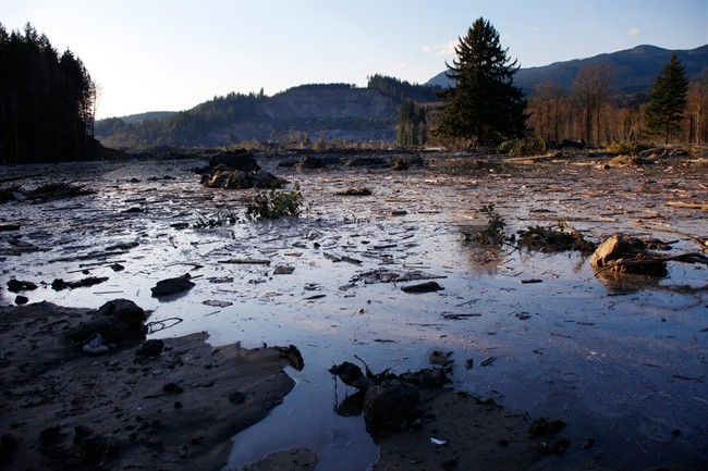 Victims of deadly Oso landslide remembered on one-year anniversary - image