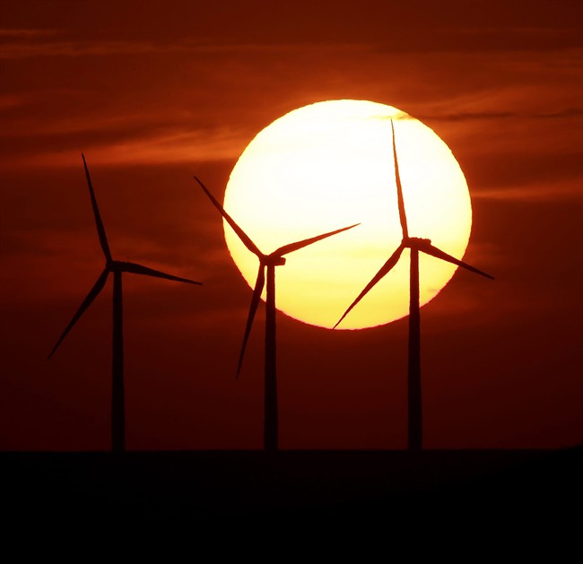 A U.S. company has pulled out of a proposed wind farm .