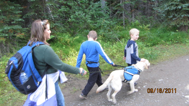 Caleb Weidenbacher's autism support dog Richie provides safety and comfort in public places and at home. 