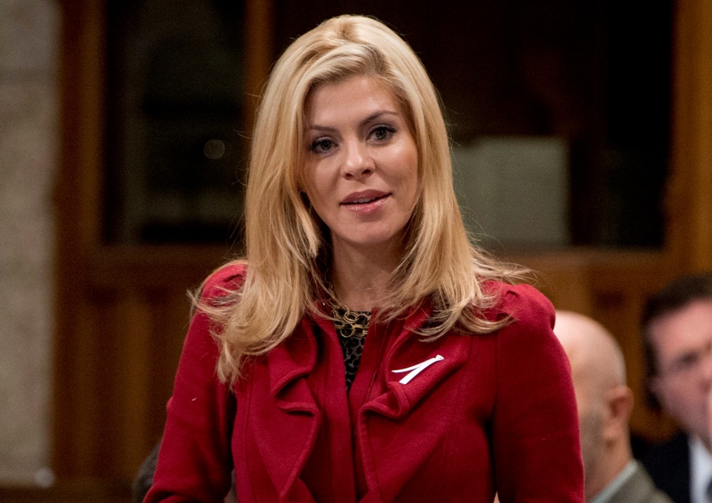 Who is Tory MP Eve Adams?