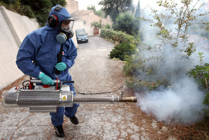The WHO said chikungunya virus has reached epidemic proportions since 2004, as it spread into new areas, including Europe.