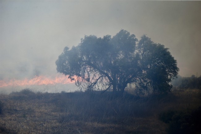 A lone tree stands in the path of approaching flames as wild fire burns through a canyon Tuesday, May 13, 2014, in San Diego. 