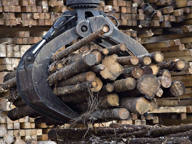 Alberta records 8th workplace death in 6 weeks - image