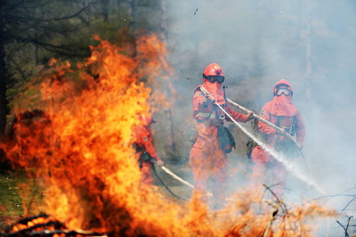 Forest fires