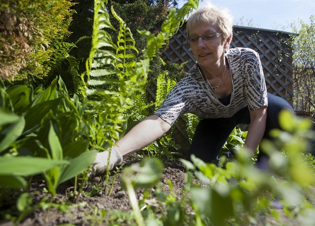 Avoid overdoing garden work to prevent sore back
