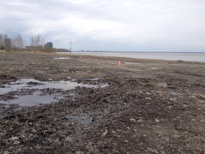 verdun toxic dump site