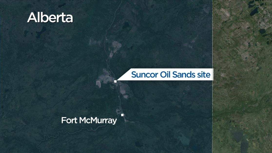 UPDATE: Family of bear attack victim responds to her ‘sudden and tragic’ death - image